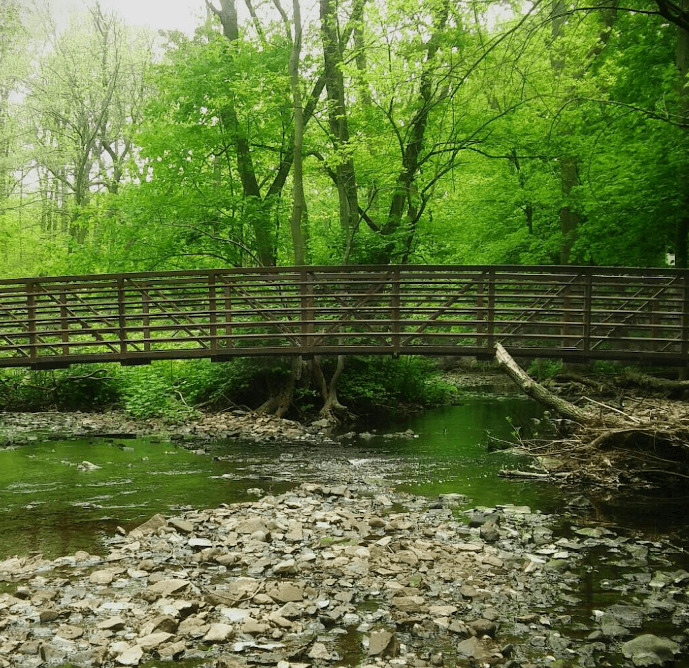 Alonzo F. Bonsal Wildlife Preserve