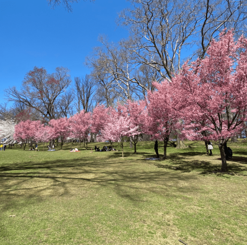 Branch Brook Park