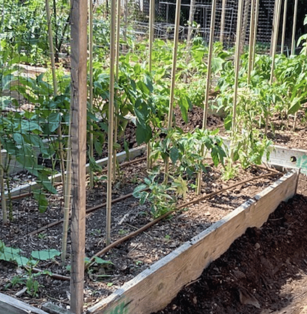 Montclair Community Farms