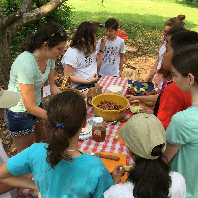 Montclair History Center Farm Camp