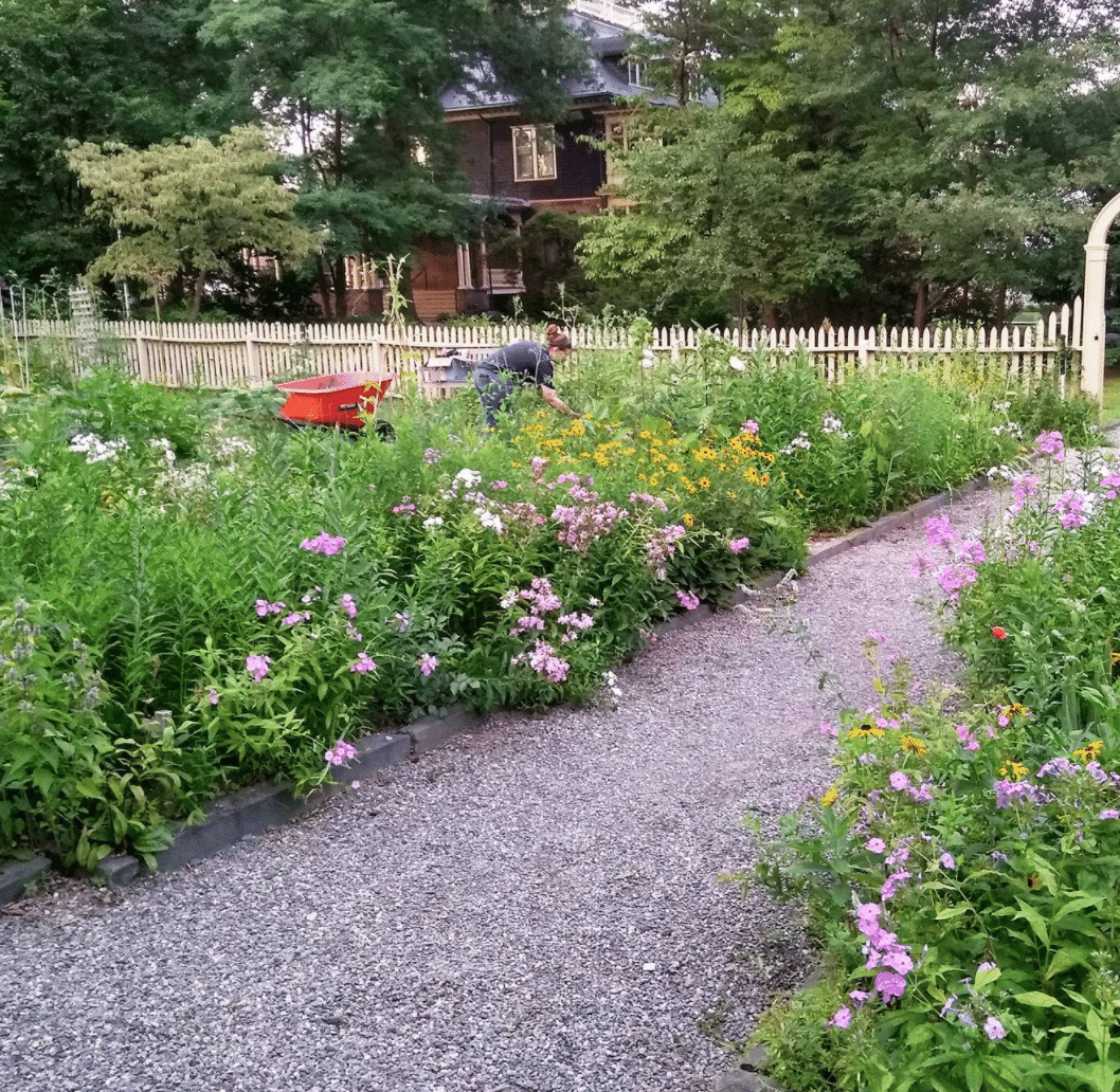 Oakeside Community Garden