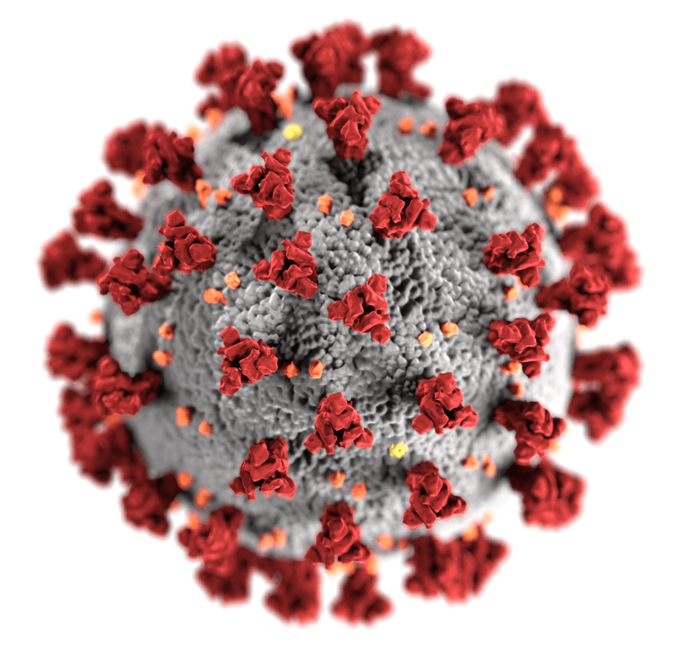 montclair coronavirus