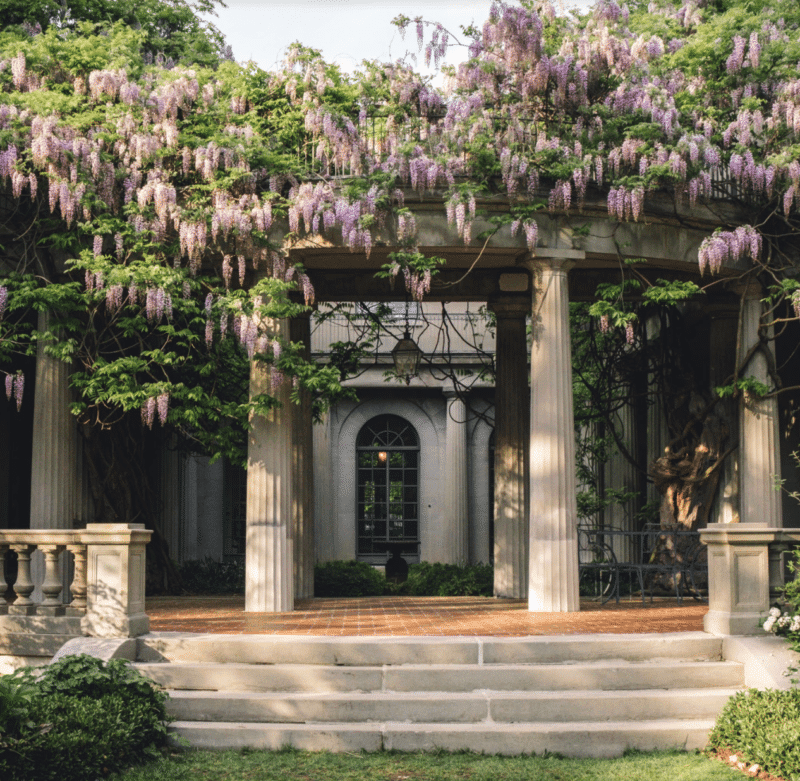 van vleck gardens