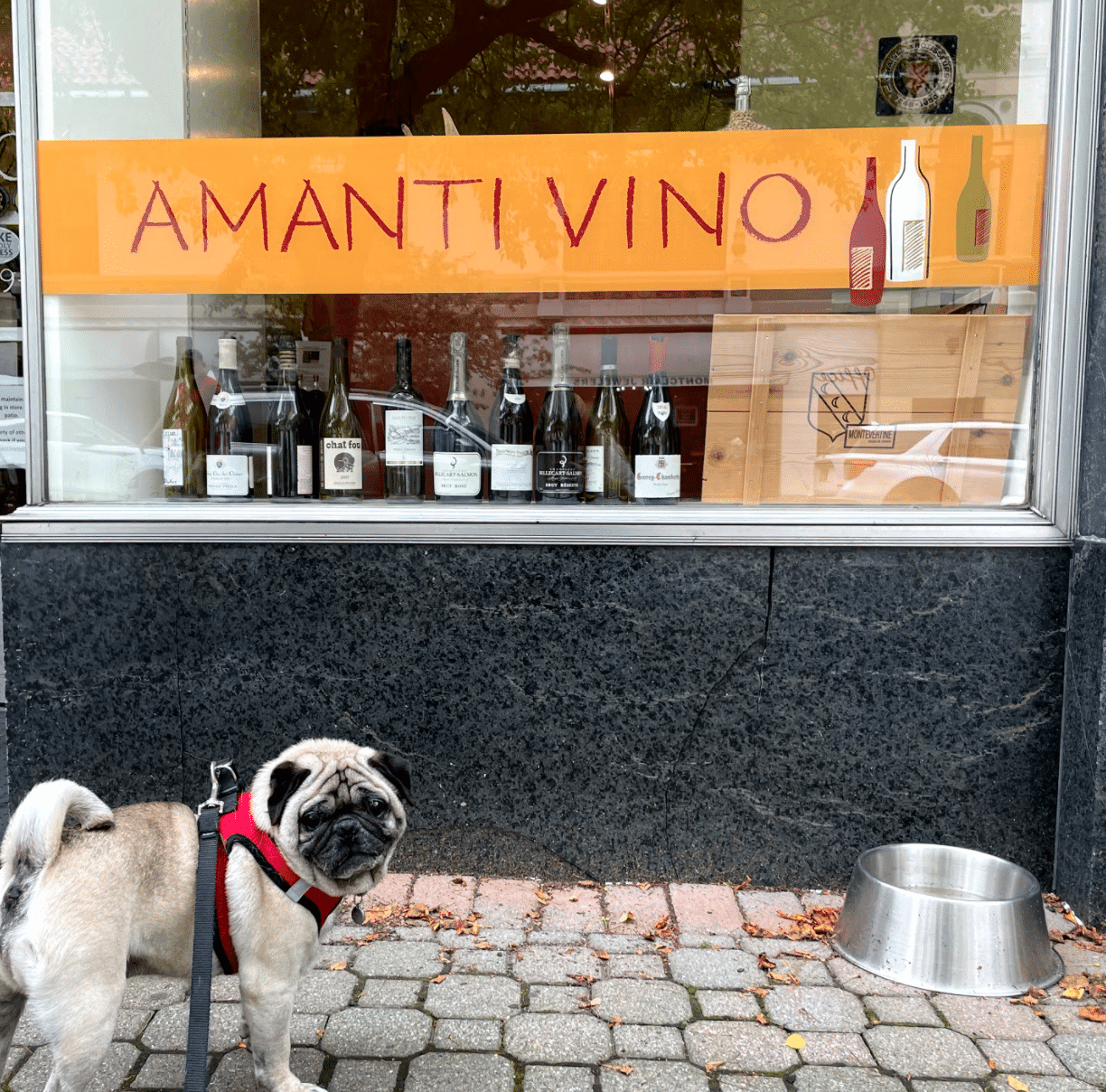 Amanti Vino