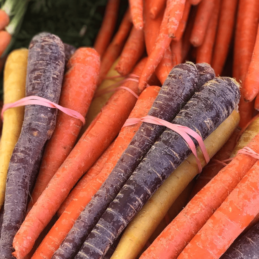 Montclair Farmers Market