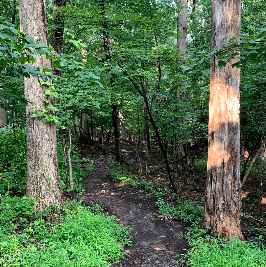 hiking trails essex county