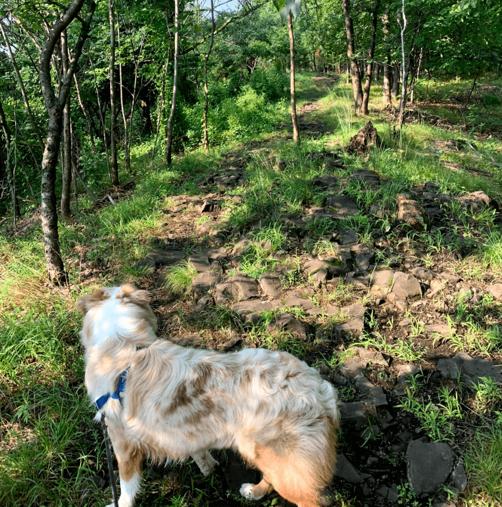 hiking trails essex county