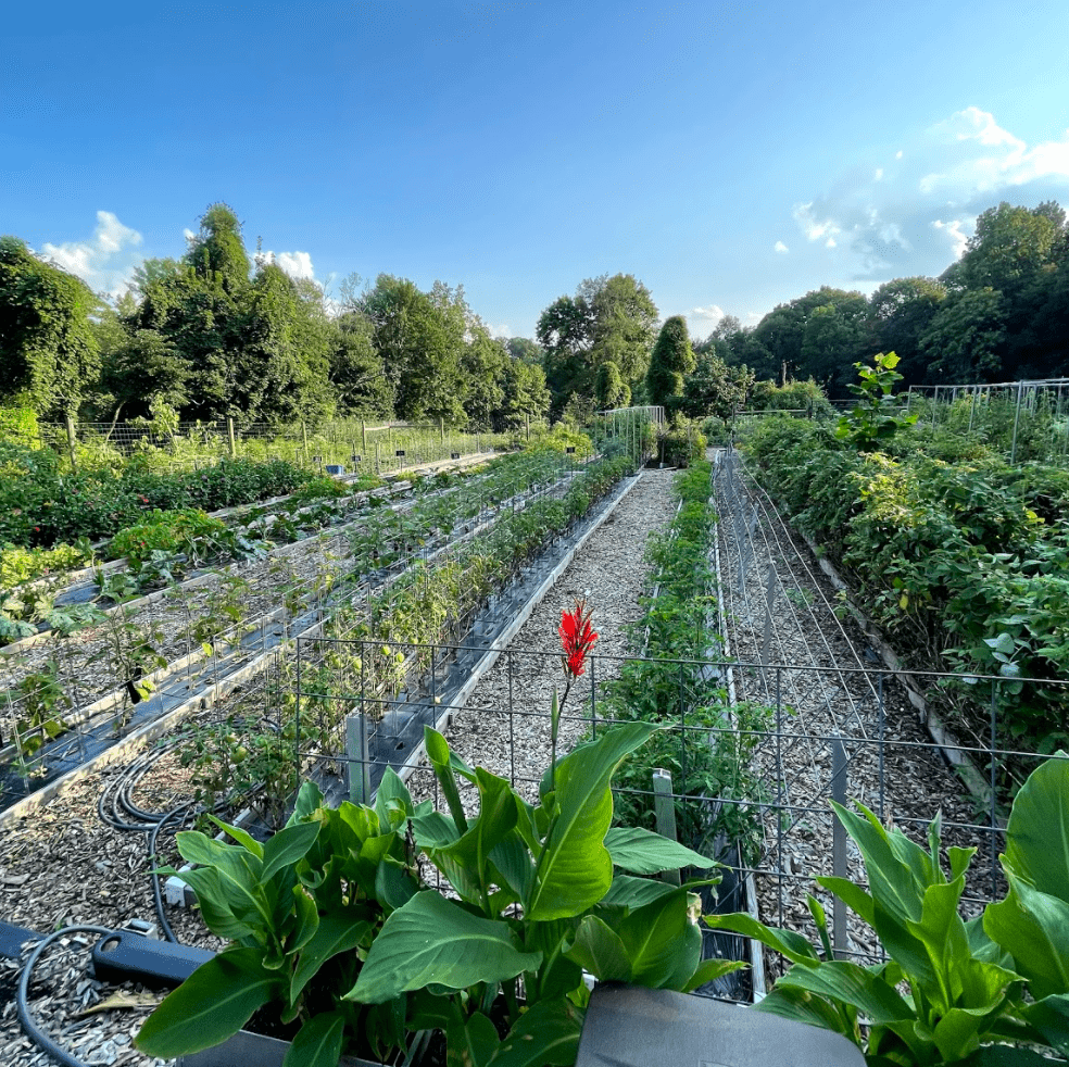 Farm to Vase