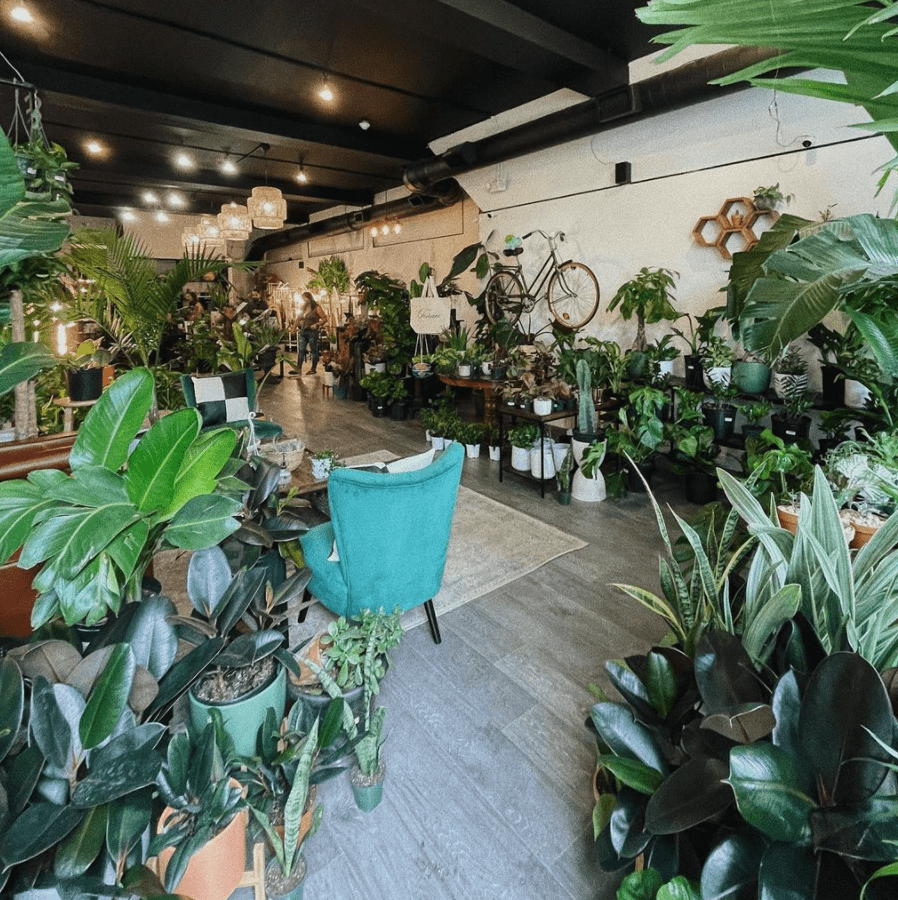 Terrace Plant Shop