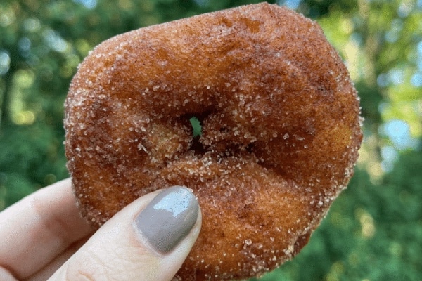 apple cider doughnuts nj