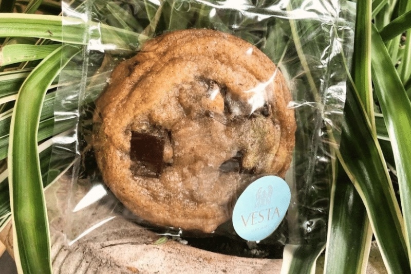 vesta chocolate montclair