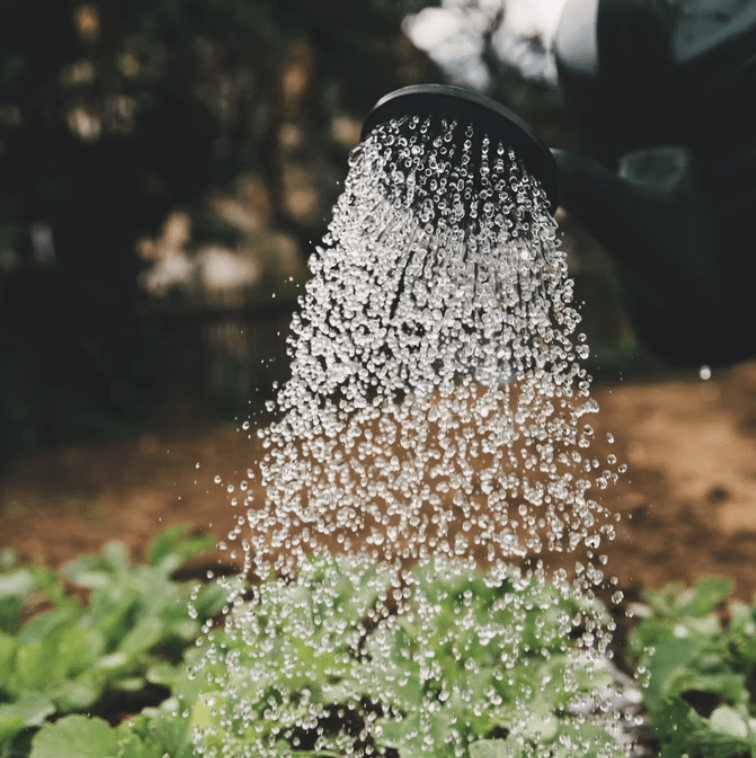 gardening