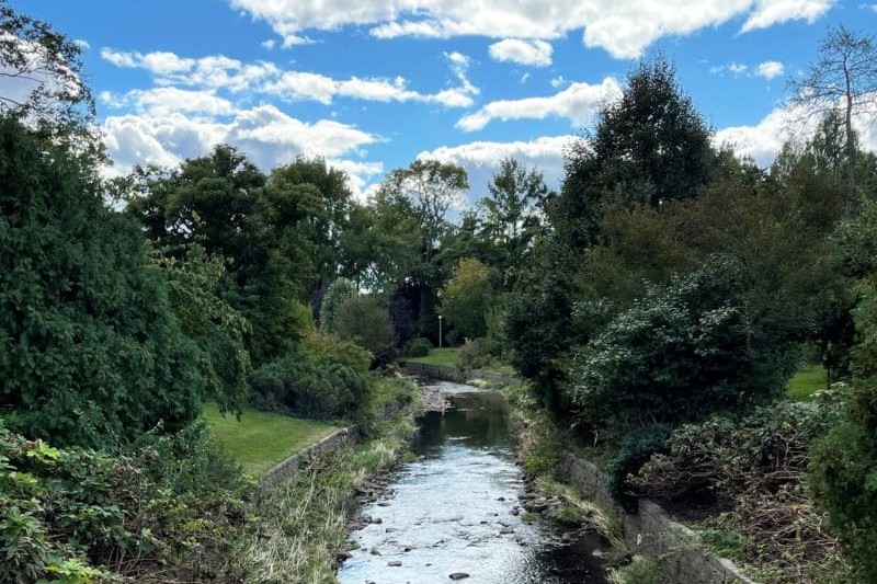 things to do maplewood nj
