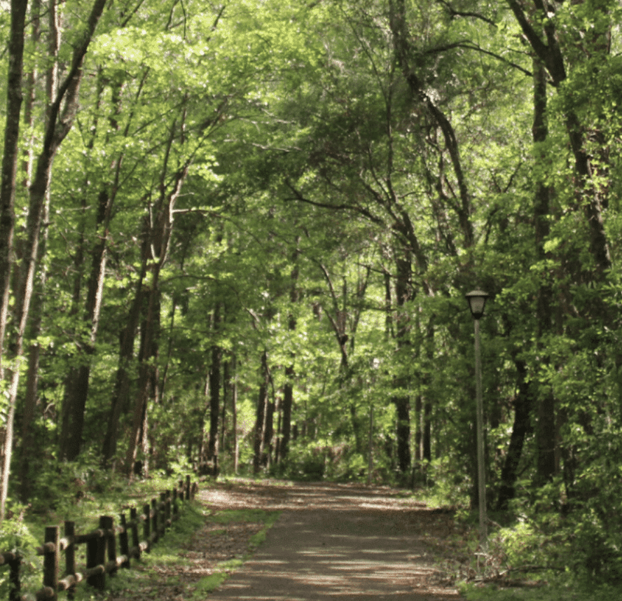 essex greenway