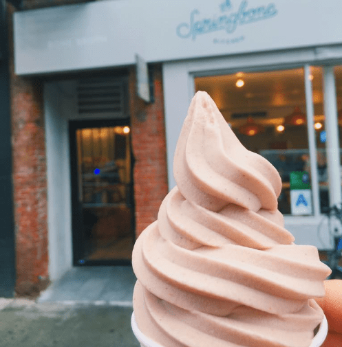 springbone kitchen vegan ice cream