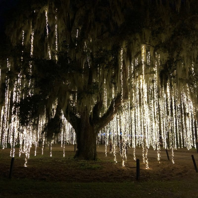 Brookgreen gardens Murrells Inlet