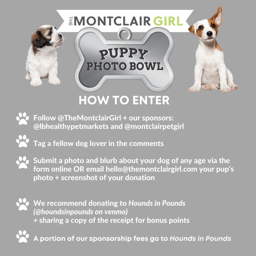montclair girl puppy bowl 2022