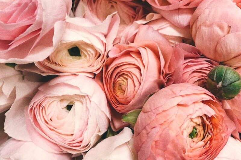 boutique floral shops essex county nj