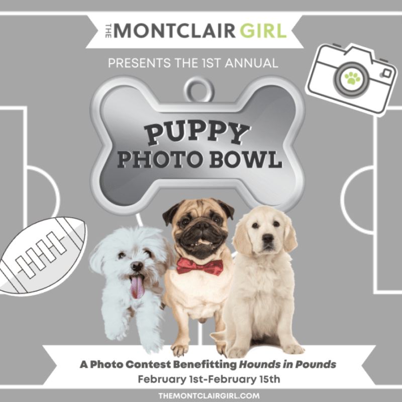 montclair puppy bowl