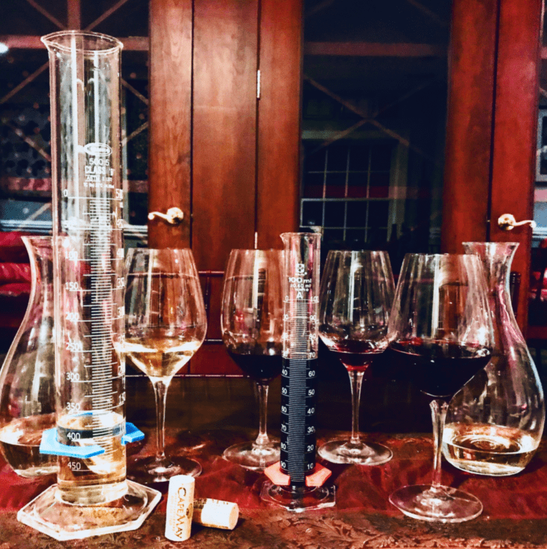 Cape May Winery Vineyard