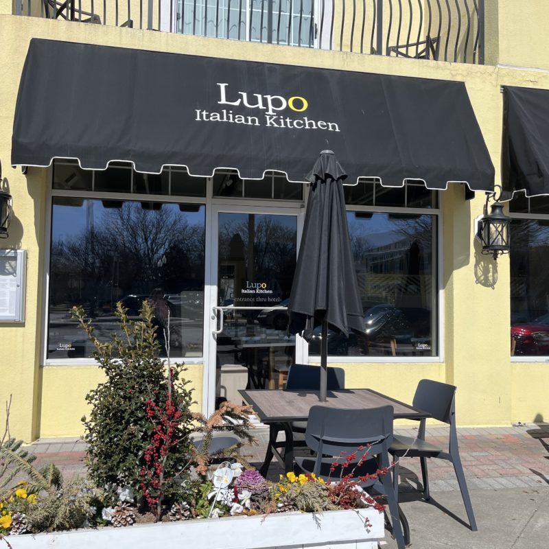 lupo Rehoboth beach 