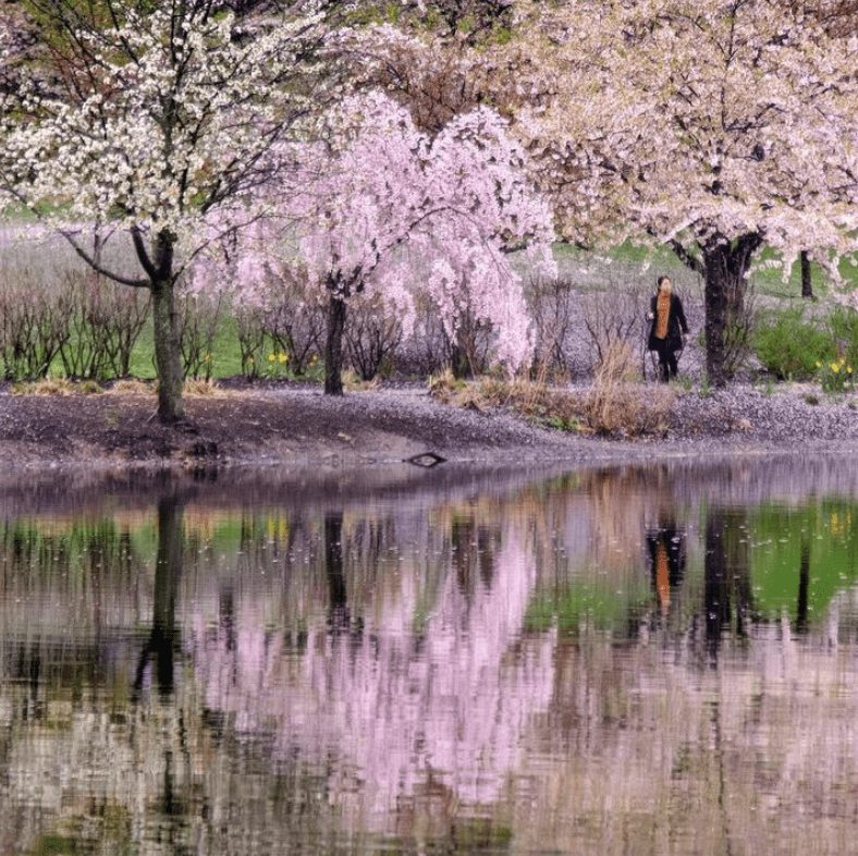 branch brook park