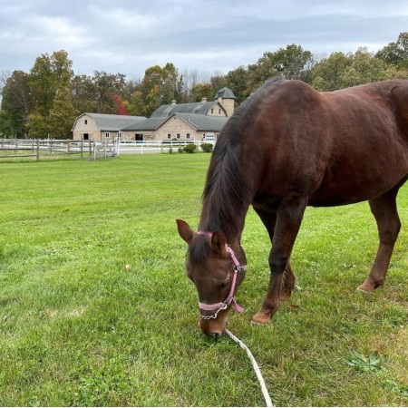 river edge farm