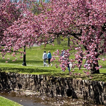 verona park