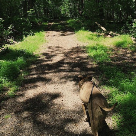 eagle rock reservation west orange