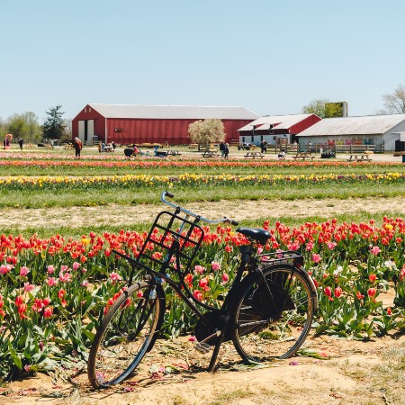 holland ridge farms