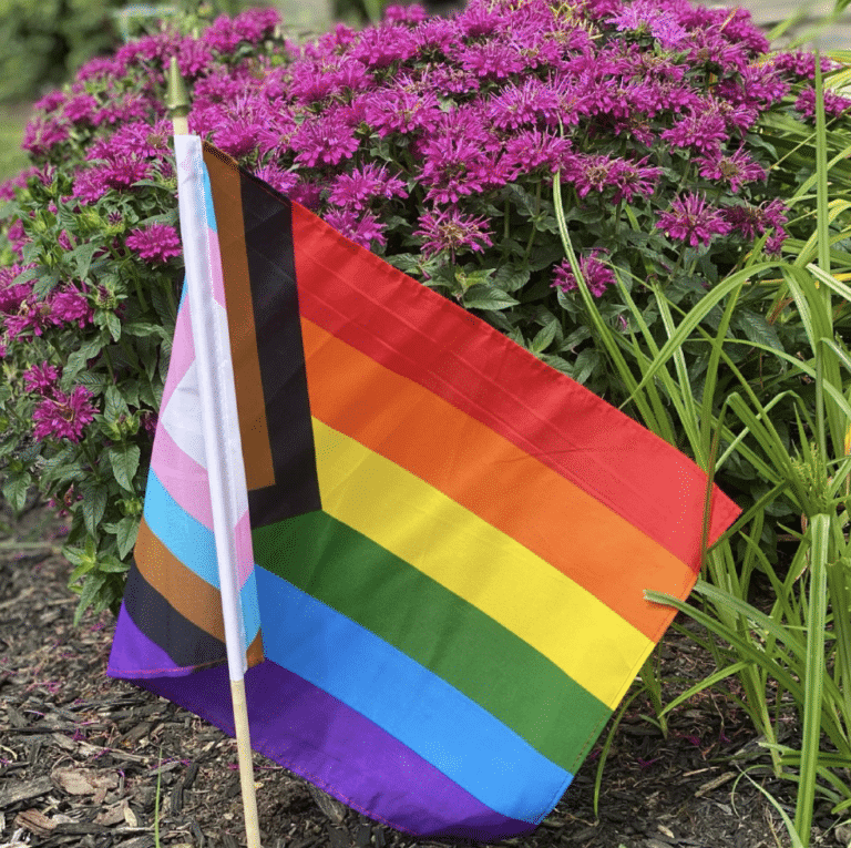 Out Montclair’s FirstEver Pride Festival Happening This June
