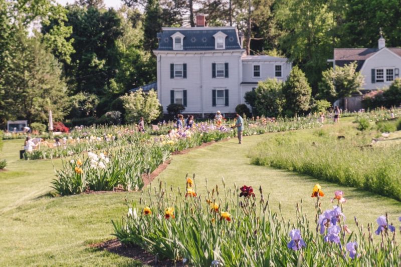 presby iris gardens montclair