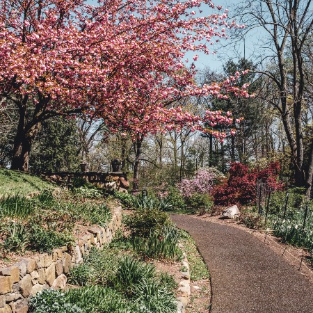 reeves reed arboretum summit