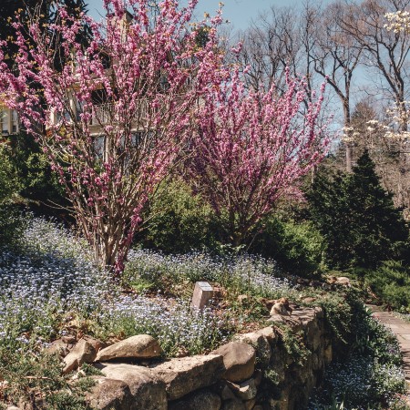 reeves reed arboretum summit