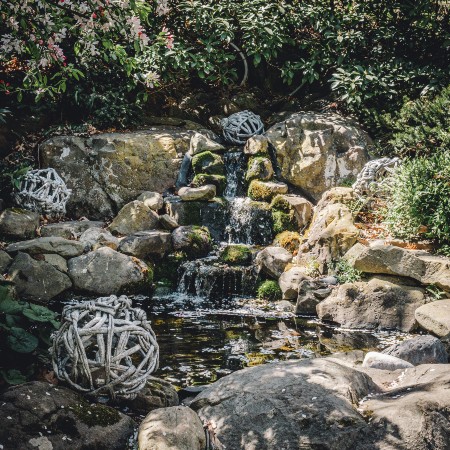 reeves reed arboretum summit