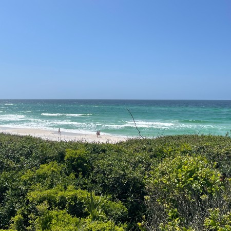 rosemary beach florida