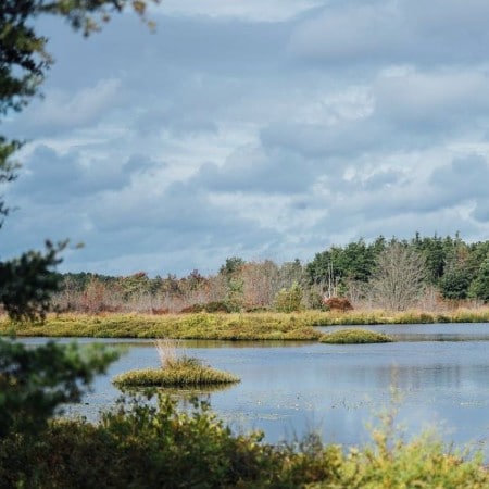 brendan t byrne state forest