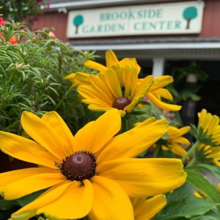 brookside garden center