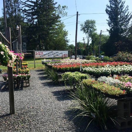 caldwell nursery