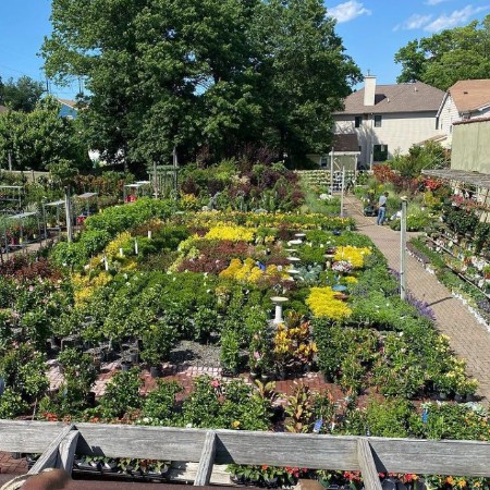 center ridge garden center