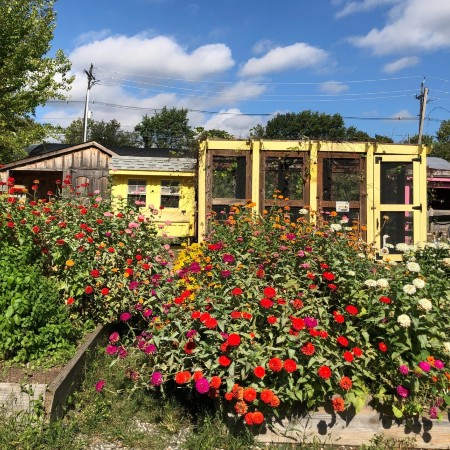 city green farm clifton