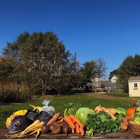city green farm clifton