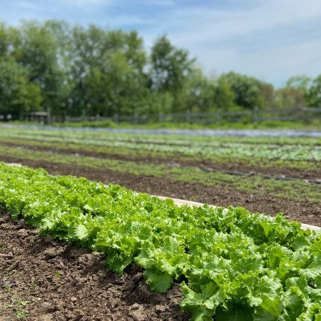 city green farm clifton nj