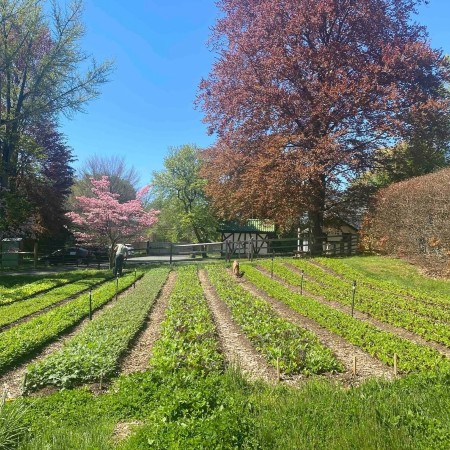 closter farm