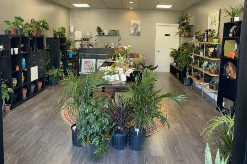 garden plant shops north jersey