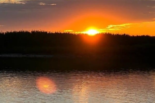 eco tours cruises hackensack river