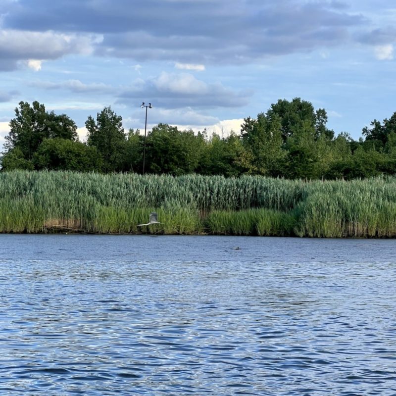 hackensack river tours