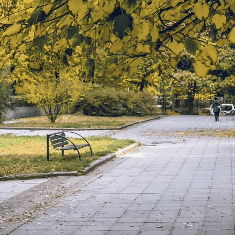 montclair parks renovations new jersey