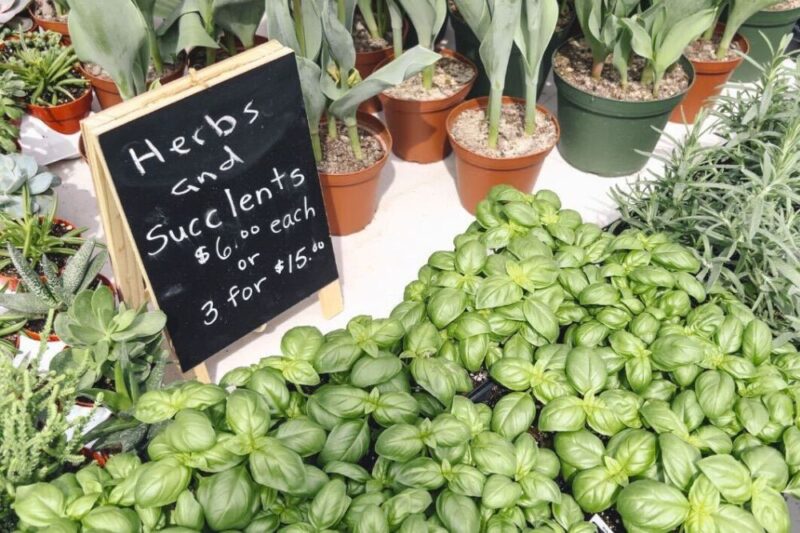 farmers markets montclair north new jersey