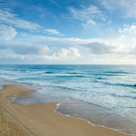 new jersey beach clean ups fall 2022